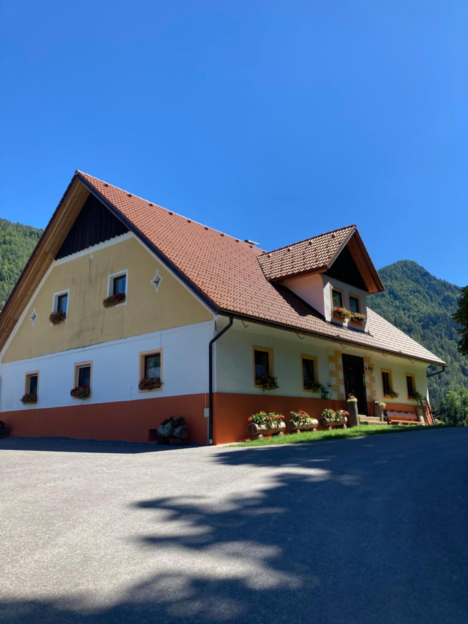 Tourist Farm Gradisnik Apartment Solcava Exterior photo