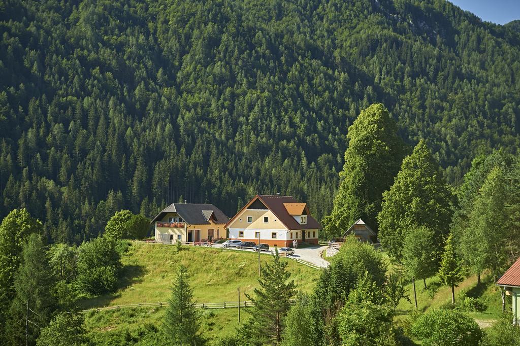 Tourist Farm Gradisnik Apartment Solcava Exterior photo